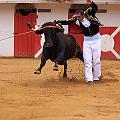 IMG_8457