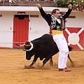 IMG_8459
