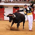 IMG_8463