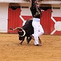 IMG_8466