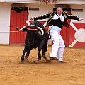 IMG_8467