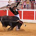 IMG_8469