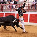 IMG_8471