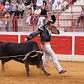 IMG_8472