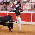 IMG_8475