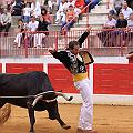 IMG_8477
