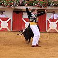 IMG_8479
