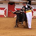 IMG_8486