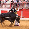 IMG_8488