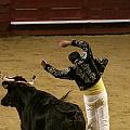 IMG_0080