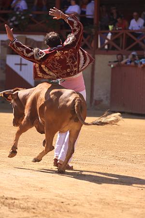 IMG_7692