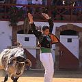 IMG_7717