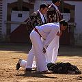 IMG_7730
