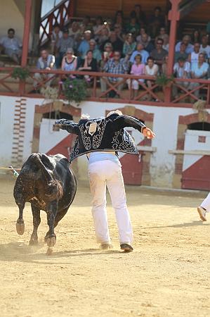 JCD_74037