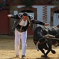 JCD_74007