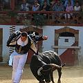 JCD_74011