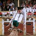IMG_8949