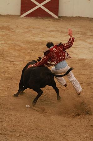 JCD_75973