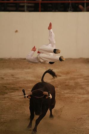 JCD_76018