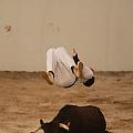 JCD_76049