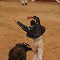 JCD_76203