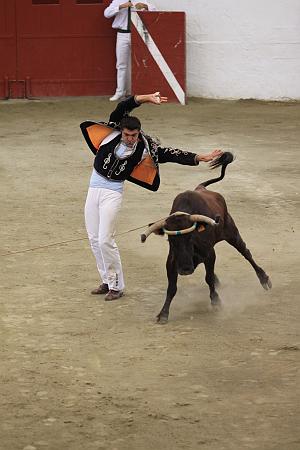 IMG_9373