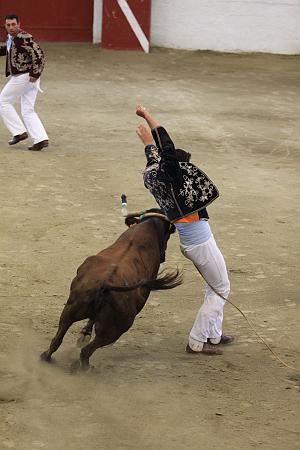 IMG_9381