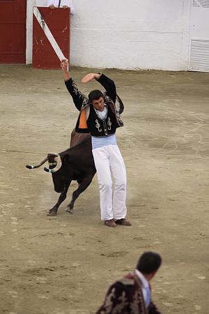 IMG_9383