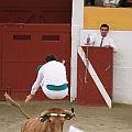IMG_9404