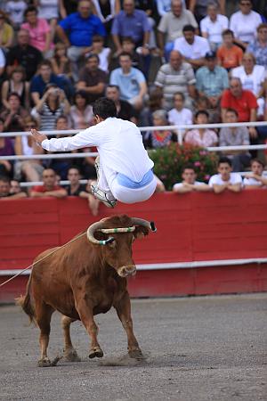 IMG_5712