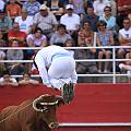 IMG_5720