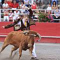 IMG_5741