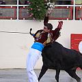 IMG_5816