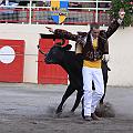 IMG_5838
