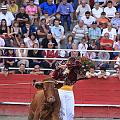 IMG_5862