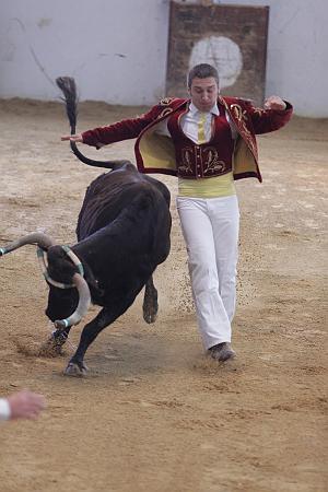 IMG_1929