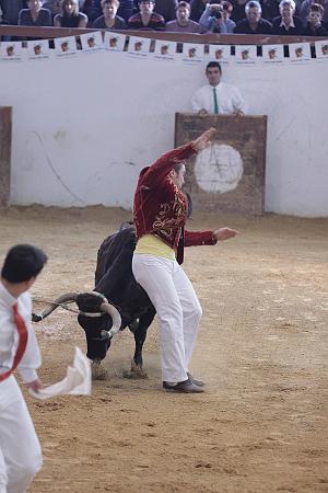 IMG_1931