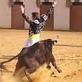 IMG_0040