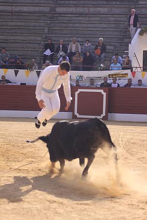 IMG_7991