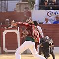 IMG_8049