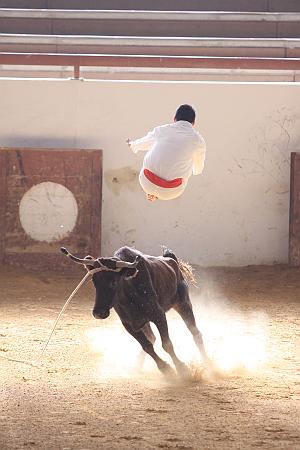 IMG_1533