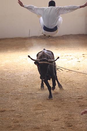 IMG_1548