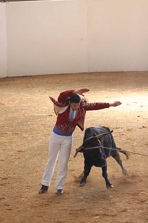 IMG_1576