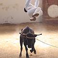 IMG_1539