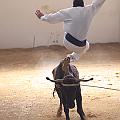 IMG_1547