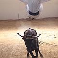 IMG_1548