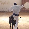 IMG_1549