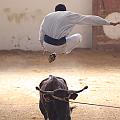 IMG_1550