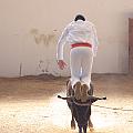 IMG_1552