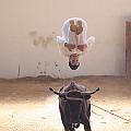 IMG_1553
